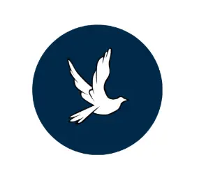 Numedia